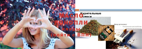 индика Каменка