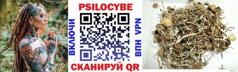 закладка  кракен маркетплейс  Псилоцибиновые грибы прущие грибы  Павловский Посад 